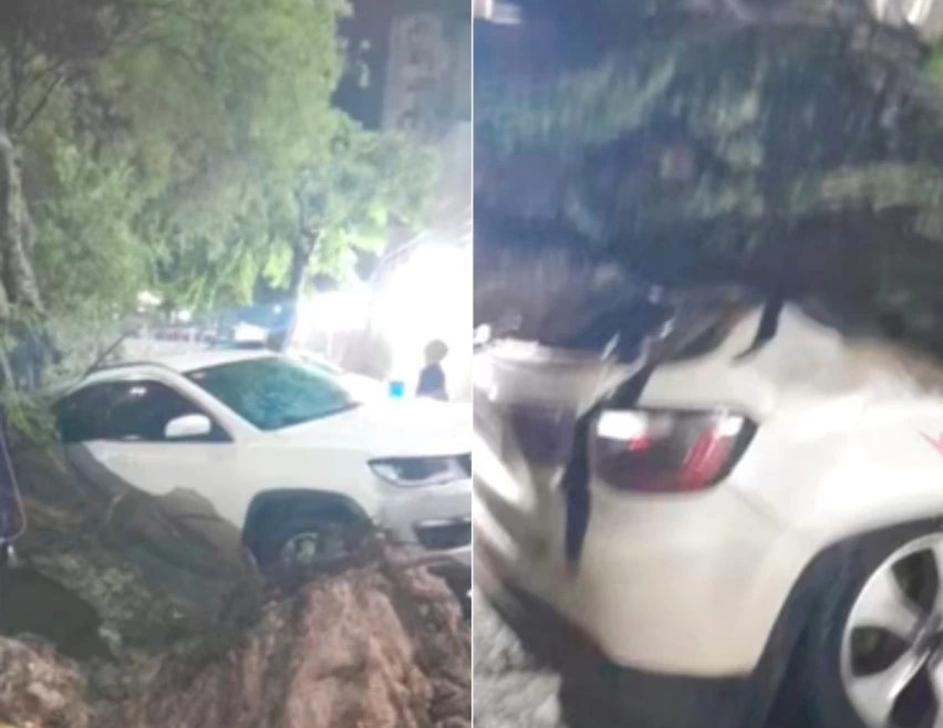 CHUVA NA CAPITAL: Árvore cai sobre carro no estacionamento do Hospital Jorge Valente na Avenida Garibaldi