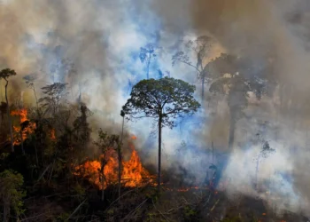 Manaus atinge níveis graves de poluição do ar por fumaça de queimadas