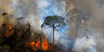 Manaus atinge níveis graves de poluição do ar por fumaça de queimadas