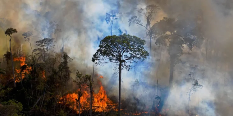 Manaus atinge níveis graves de poluição do ar por fumaça de queimadas