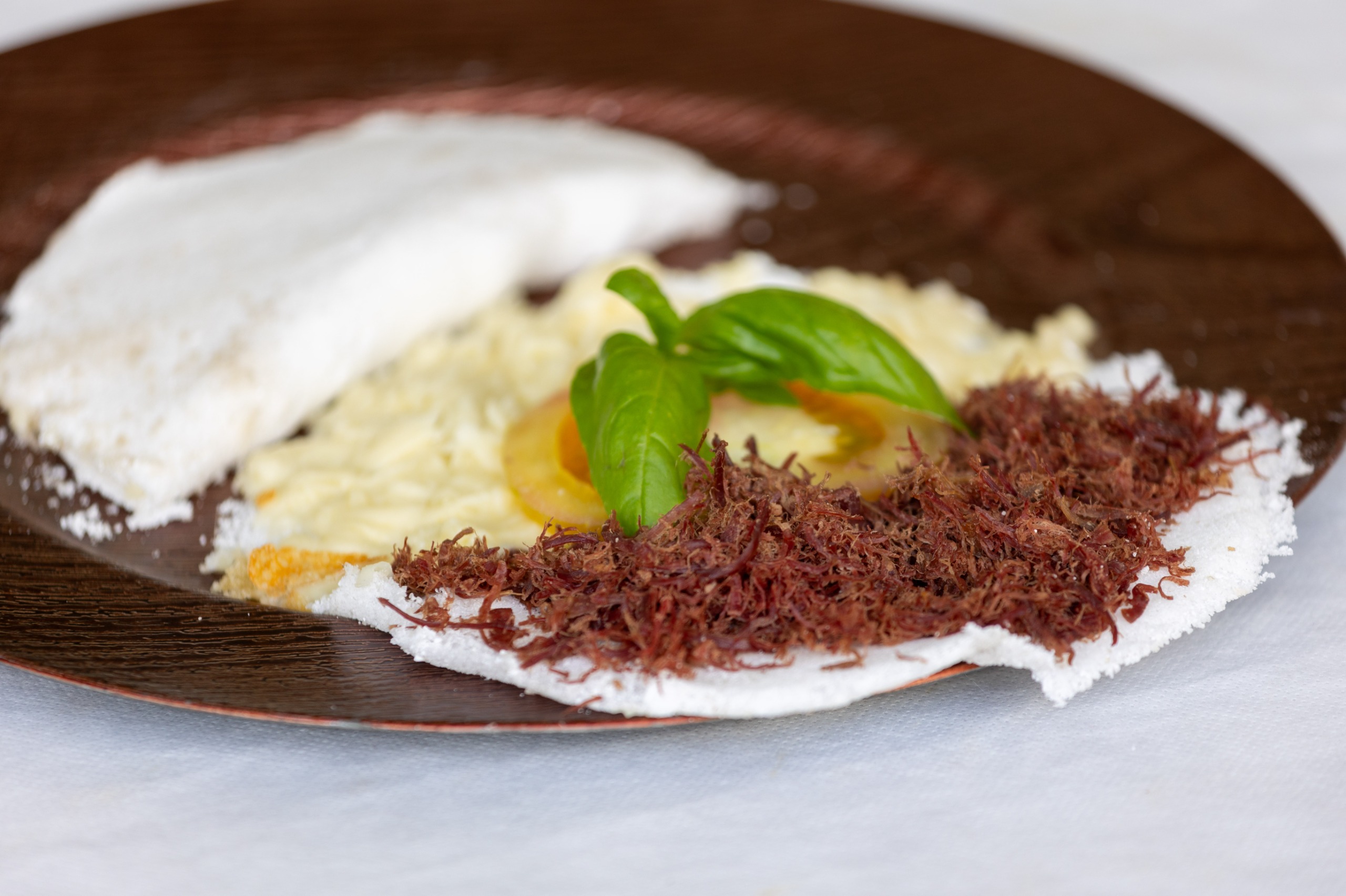 Público de Salvador tem até esse fim de semana para visitar a Vila da Agricultura Familiar na 33ª Fenagro