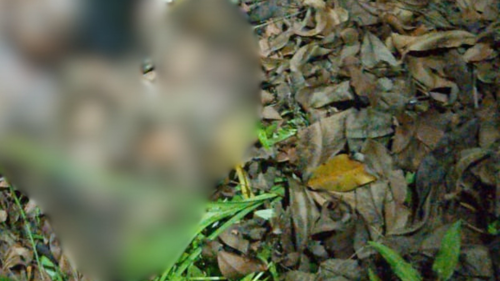 CRIME EM VERA CRUZ: Mulher é encontrada morta às margens da BA-001